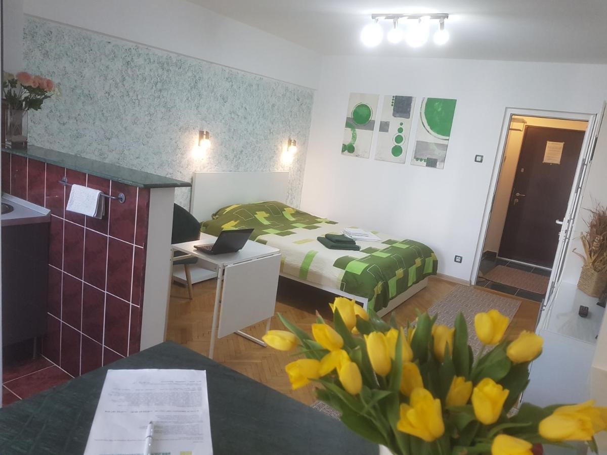 Calea Victoriei Residence บูคาเรสต์ ภายนอก รูปภาพ